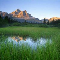 八月份哪些星座能拥抱真爱陪伴余生