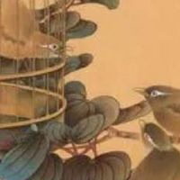 最旺属蛇人的5个数字 长富贵旺运势的肖蛇数组