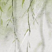 为什么庚金女很会赚钱 勿感情用事运喜西方