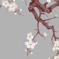 2022年农历十一月十九办婚礼好吗 是不是结婚好日子