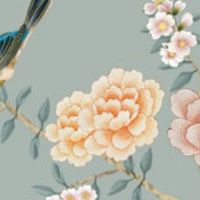 走三合局会发生什么 三合局有利有弊