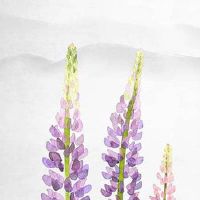 车牌号带76的尾数好不好 逢凶化吉财运有所好转