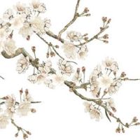 2023年兔年对哪几种属相不好 鼠鸡龙应多留意