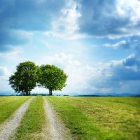 什么星座组合会是彼此喜欢的一对