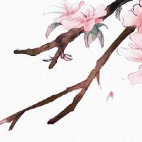 手相学常见各种纹图解 贵人缘旺盛好运来临