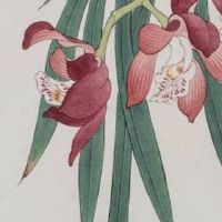 手机号数字能量磁场表 招财圆满的手机靓号推荐