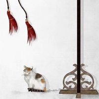 周易免费测车牌号吉凶 车牌号码影响运气吗