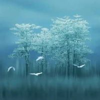 新开车行取名二手车大全 时尚洋气汽车店面名