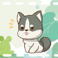 2022年生肖狗偏财 有天降横财的可能