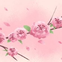 山头火命的人招桃花化解 正确方式避开烂桃花