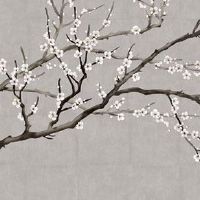 婚姻宫为忌逢冲 风水调理婚姻宫逢冲