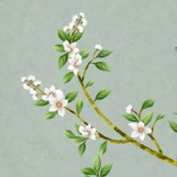 2023年兔年对属鼠的真的不好吗 沟通交流可解矛盾