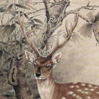 天医磁场多号码有什么情况 招财进宝的手机号码全书