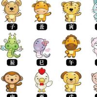 2022年最旺最顺的生肖是哪些