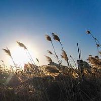 生肖兔的射手座性格特点及缺点