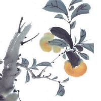 婚姻宫子戌暗合 八字婚姻宫暗合不适合结婚