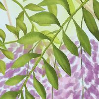 断掌合成的三角纹 大吉大利一生富贵