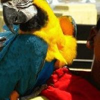 孩子出生日期生辰八字起名