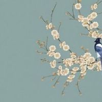 1987年属兔35岁后会大富大贵 生肖兔35岁后事业有成