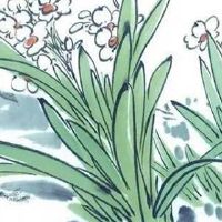 两个天医结尾的手机号 天医磁场发大财的手机靓号