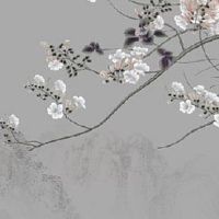 2022年8月12日提车好吗 农历七月十五是上牌日子吗