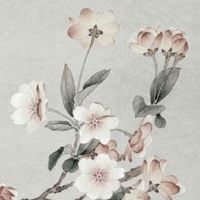 2015年属羊的几月出生最好命 6月出生人生一帆风顺