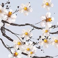 1968年属猴2023年运势及运程男性 本年万事皆可逢凶化吉