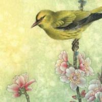 天医手机号68和86区别 富贵发财的手机号码推荐