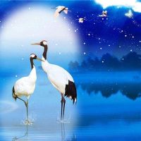 梦到狗推门我顶着