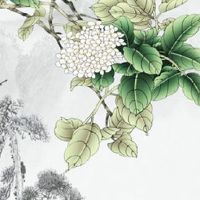 女命身弱且官杀混杂的性格 强势需有度事业蒸蒸日上