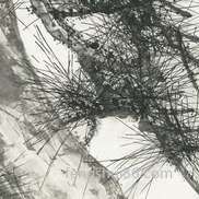 四月十三小暑黄历忌宜分析,5月5日小暑艮卦怎样