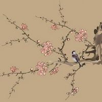 车牌号最少几个字母 车牌允许纯数字组合没有字母