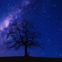 84年属鼠的女人多大能遇到正缘 姻缘运到来的年龄