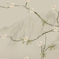 1980年属猴的幸运数字和颜色 石榴木命幸运数字与幸运色盘点