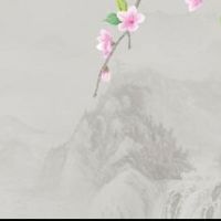 二婚才是正缘的八字 夫妻星为喜用