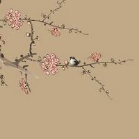 车牌号最忌讳的号码有哪些 4谐音不吉0寓意不吉