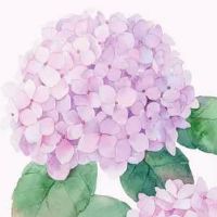 好听的二手车行名字 寓意美好吉利车店取名