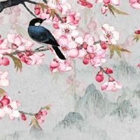 1992年猴女一辈子命运怎么样 财富运势很顺利