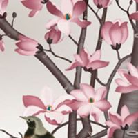 怎么判断自己骨相好 事业机会多贵人相助