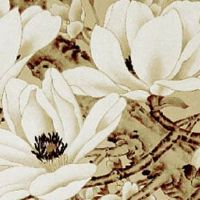 女人双夫命是什么意思 官杀混杂的女人有双夫命