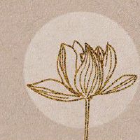 今日生辰八字查询 2022年8月14日农历七月十七