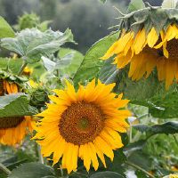 给宝宝取名要根据八字五行 推荐满分好听名字