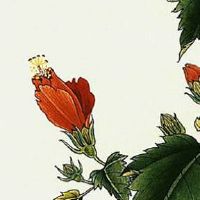 天医加延年结尾最佳号码组合 最新旺运吉祥的手机尾号