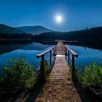 2023年上半年属鼠人感情姻缘如何