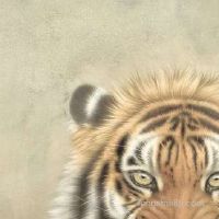 农历四月十一吉时查询,时辰吉凶忌宜查看