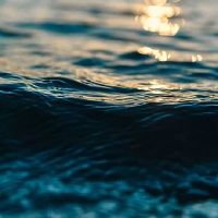 2023年狮子座的生肖鼠的运势会是什么