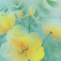 好的熟食店名字大全 时尚吉利美食店铺取名