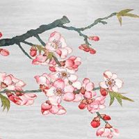 2022年10月27日是入宅日子吗 农历十月初二乔迁入住好不好