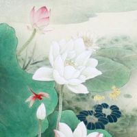 车牌带哪些字母不好 有两个字母车牌中不宜使用