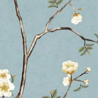 婚姻宫寅亥合预示什么 总体运势不错多贵人多助